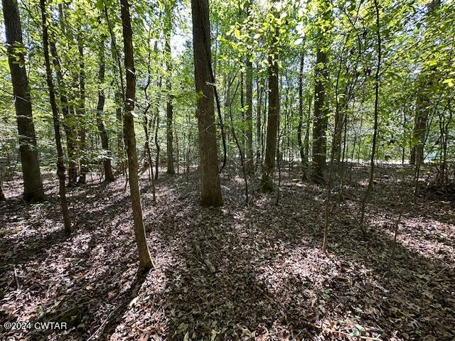 3 Sales Landing Road Camden, TN 38320 - Photo 23 of 33 IMG_3513