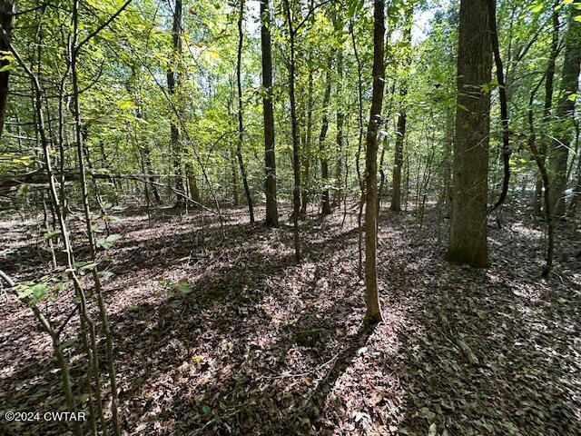 3 Sales Landing Road Camden, TN 38320 - Photo 24 of 33 IMG_3514