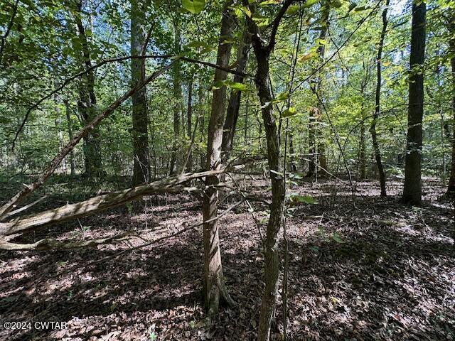 3 Sales Landing Road Camden, TN 38320 - Photo 25 of 33 IMG_3515