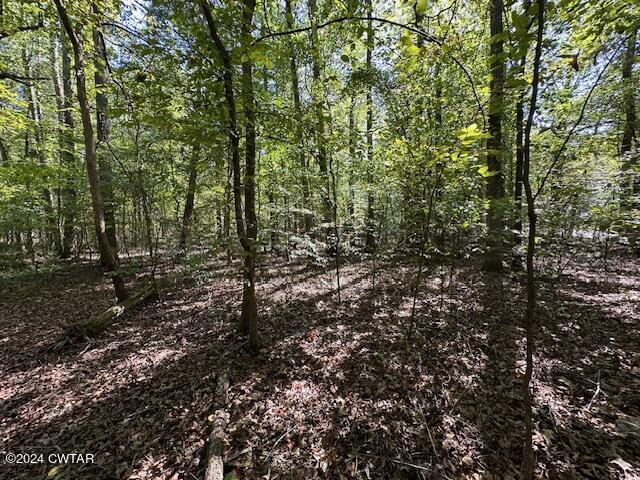 3 Sales Landing Road Camden, TN 38320 - Photo 26 of 33 IMG_3516