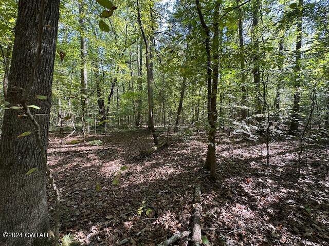 3 Sales Landing Road Camden, TN 38320 - Photo 27 of 33 IMG_3517