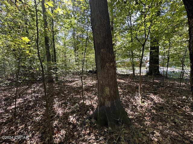 3 Sales Landing Road Camden, TN 38320 - Photo 28 of 33 IMG_3518