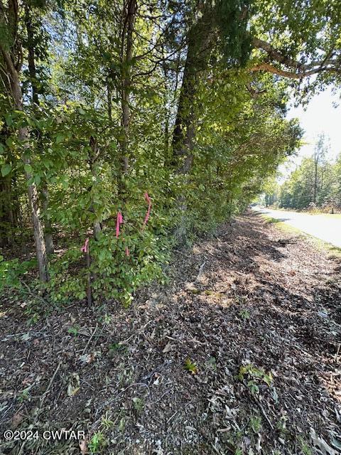3 Sales Landing Road Camden, TN 38320 - Photo 29 of 33 IMG_3519
