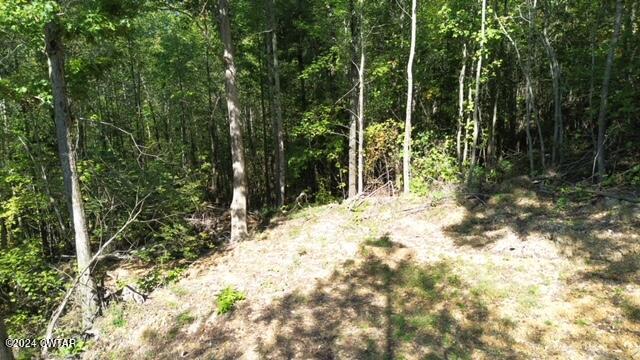 3 Sales Landing Road Camden, TN 38320 - Photo 3 of 33 DJI_0176