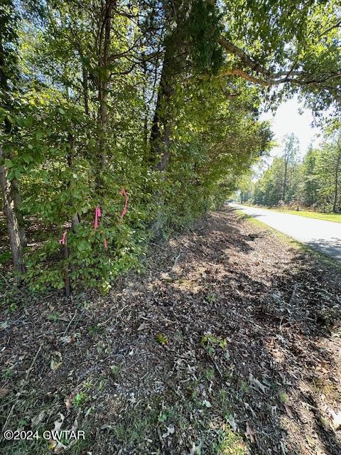 3 Sales Landing Road Camden, TN 38320 - Photo 32 of 33 IMG_3522