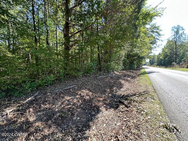 3 Sales Landing Road Camden, TN 38320 - Photo 33 of 33 IMG_3523