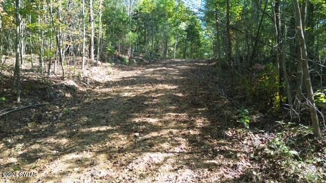 3 Sales Landing Road Camden, TN 38320 - Photo 4 of 33 DJI_0177