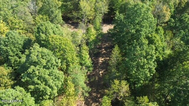 3 Sales Landing Road Camden, TN 38320 - Photo 5 of 33 DJI_0179