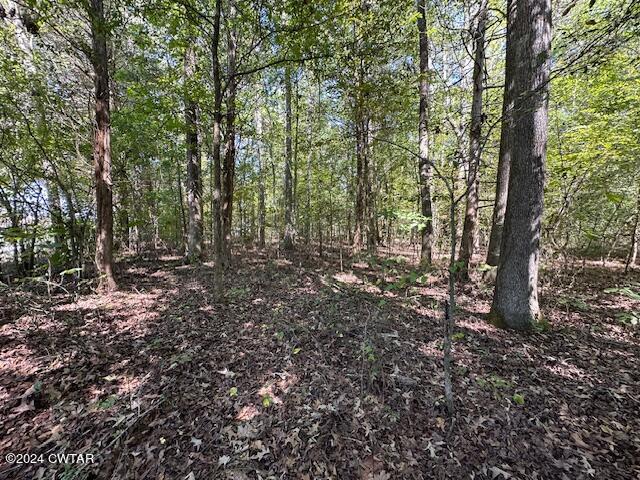3 Sales Landing Road Camden, TN 38320 - Photo 8 of 33 IMG_3498