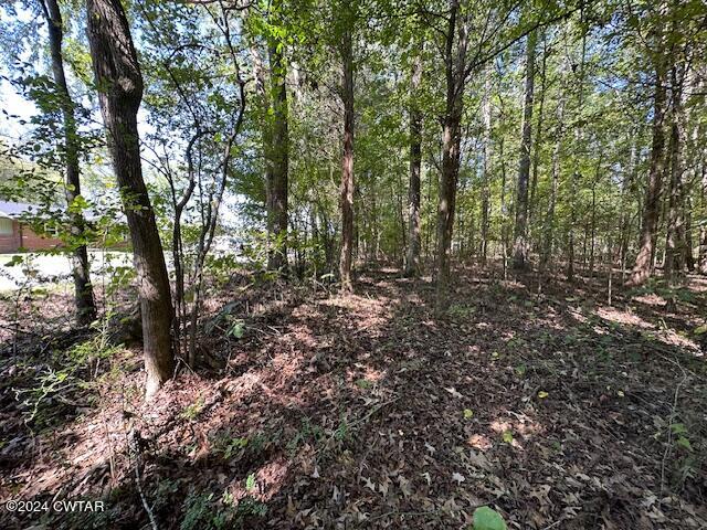 3 Sales Landing Road Camden, TN 38320 - Photo 9 of 33 IMG_3499