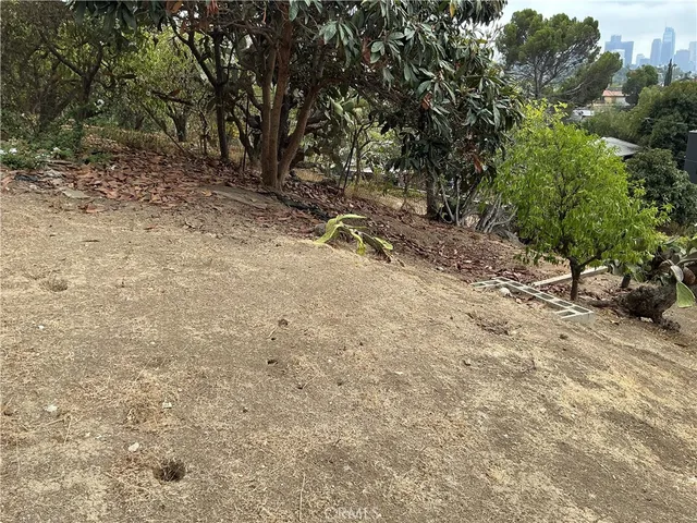 a view of wooden floor