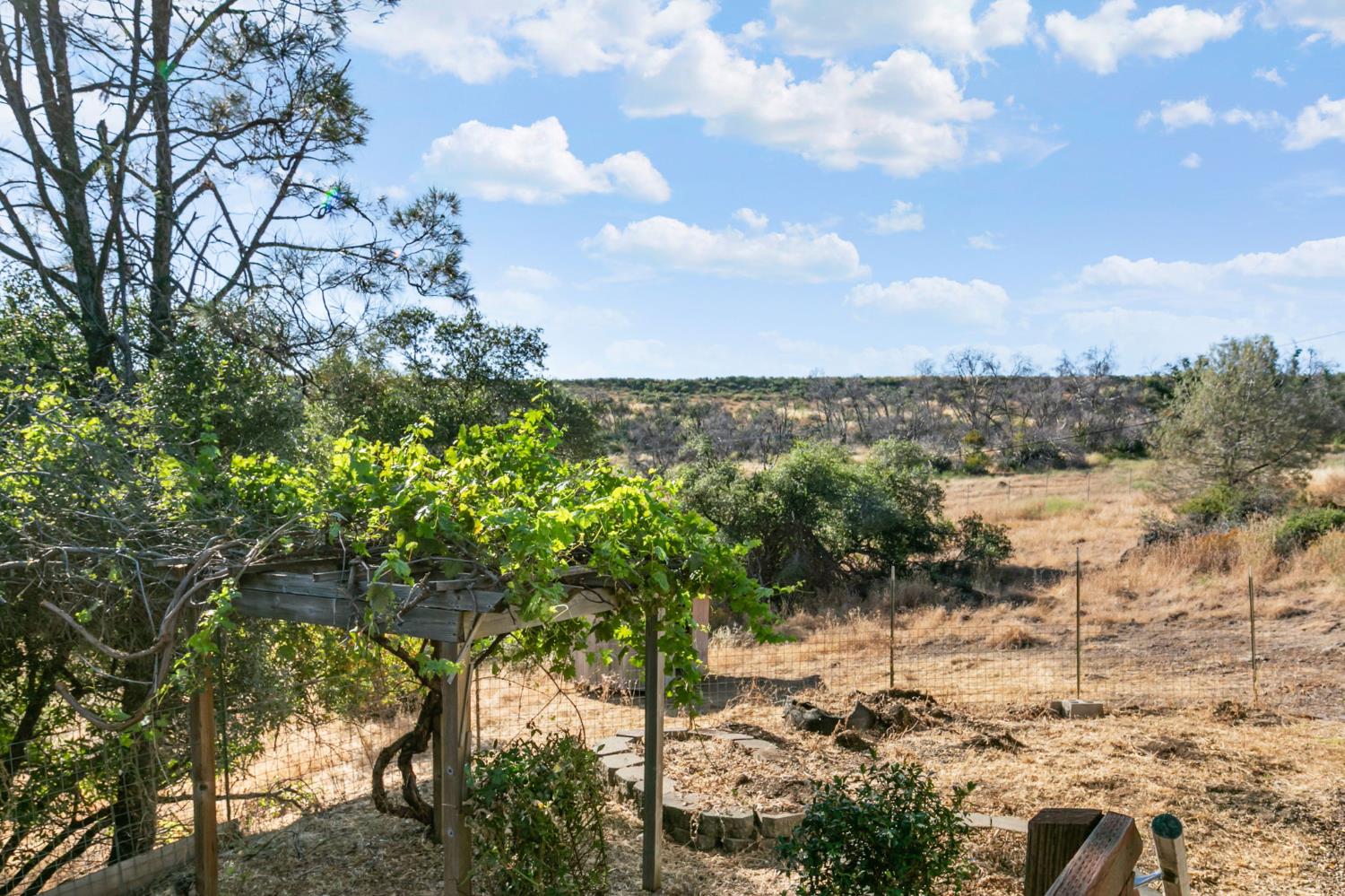 2970 Texas Hill Road Placerville, CA 95667 - Photo 38 of 54