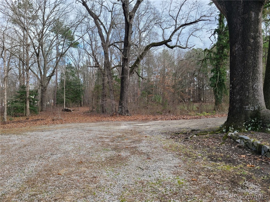 11231 Chester Road Chester, VA 23831 - Photo 18 of 18 a view of a backyard with large trees
