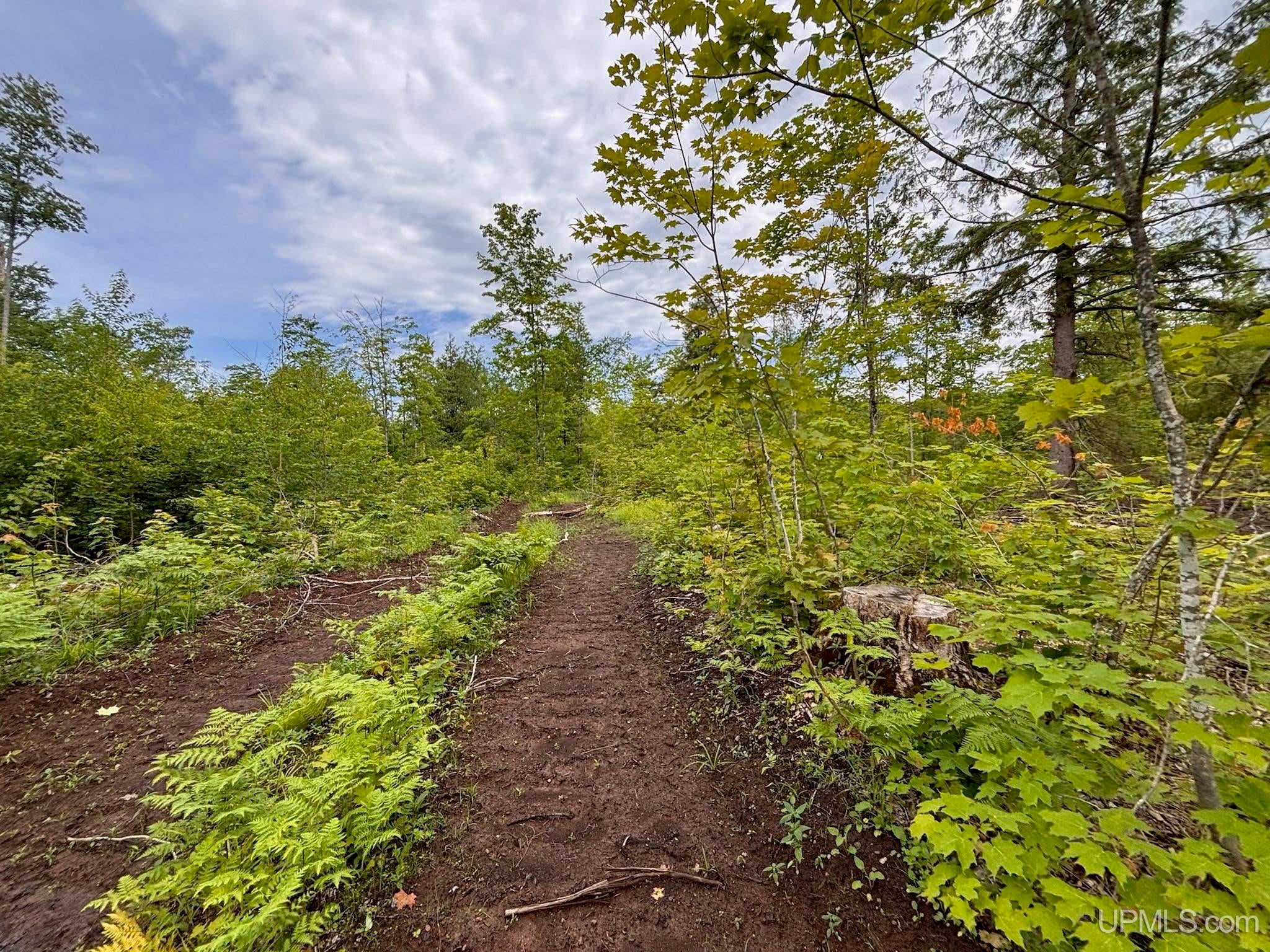 Tbd Pike Lake Road Toivola, MI 49965 - Photo 8 of 41 Gallery Image 8