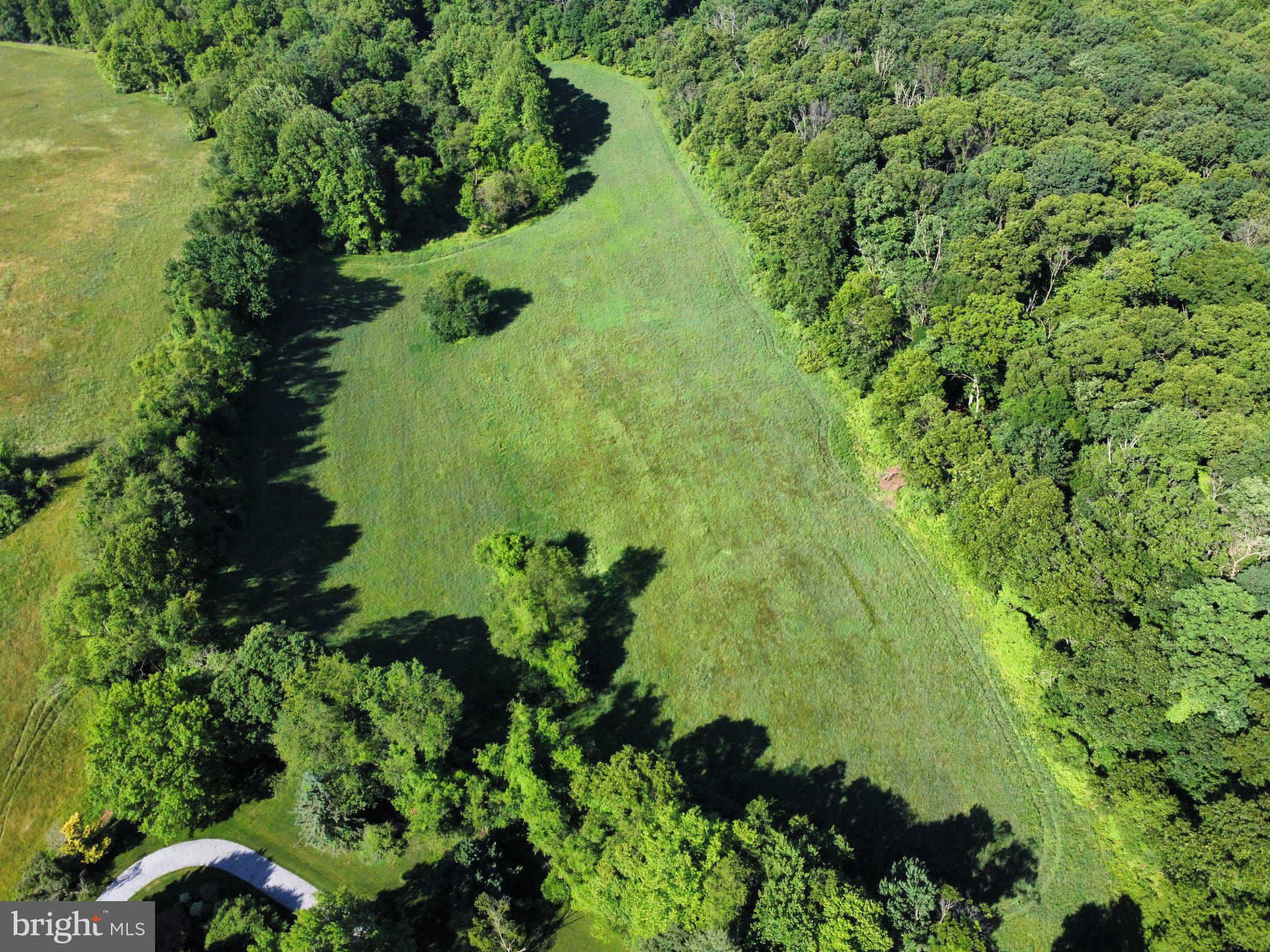 970 Doe Run Road East Fallowfield, PA 19320 - Photo 9 of 16 a view of a garden