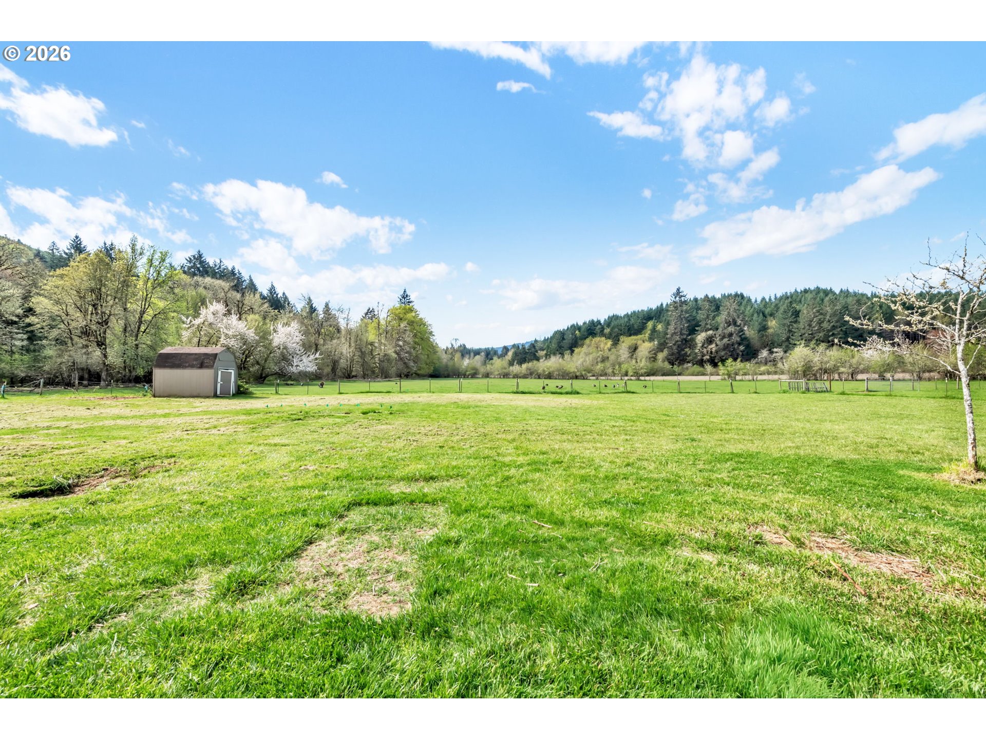 24022 Alpine Road Monroe, OR 97456 - Photo 45 of 48