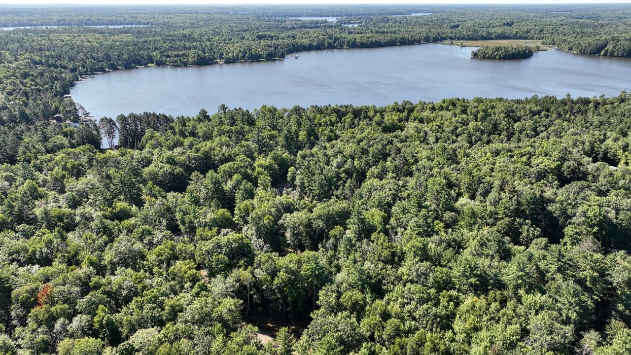 3700 Chain O Lakes Road Eagle River, WI 54521 - Photo 13 of 17