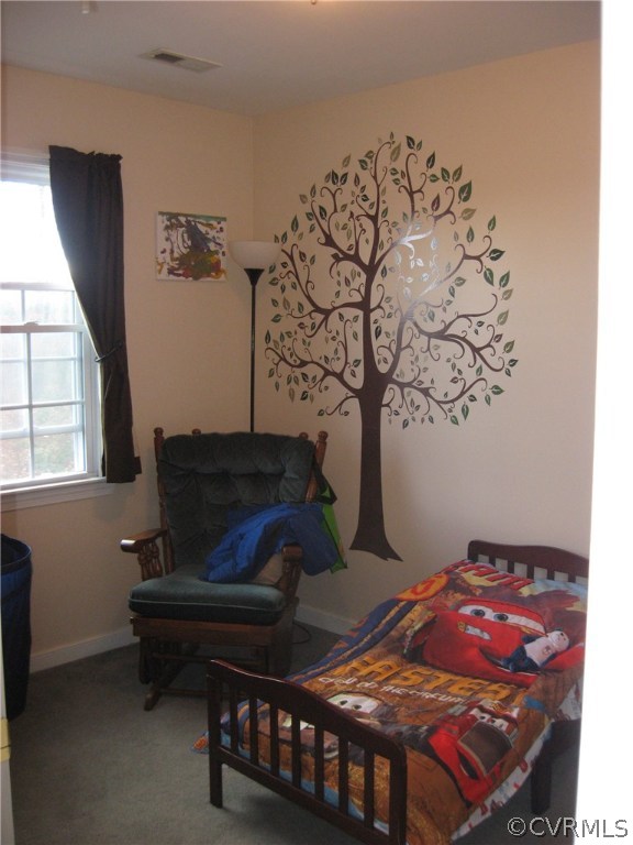 17222 Oak Ridge Lane Ruther Glen, VA 22546 - Photo 17 of 24 Gallery Image 17