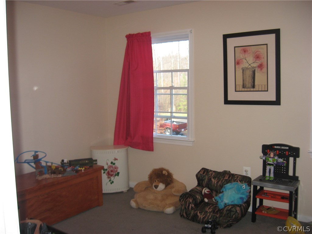17222 Oak Ridge Lane Ruther Glen, VA 22546 - Photo 19 of 24 Gallery Image 19
