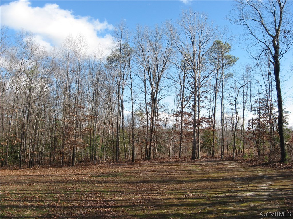 17222 Oak Ridge Lane Ruther Glen, VA 22546 - Photo 5 of 24 Gallery Image 5