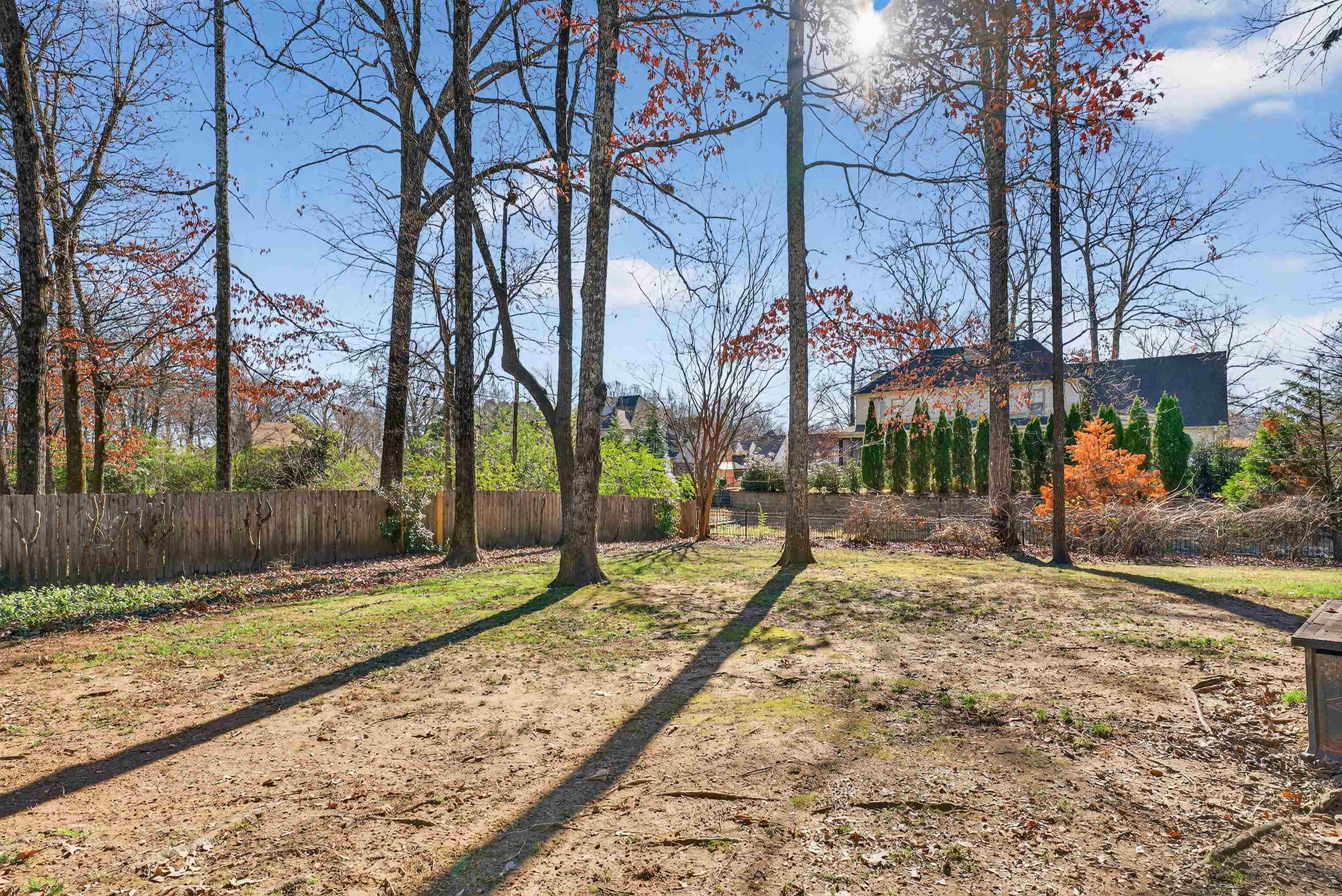 1195 Frank Road Collierville, TN 38017 - Photo 15 of 35 View of yard