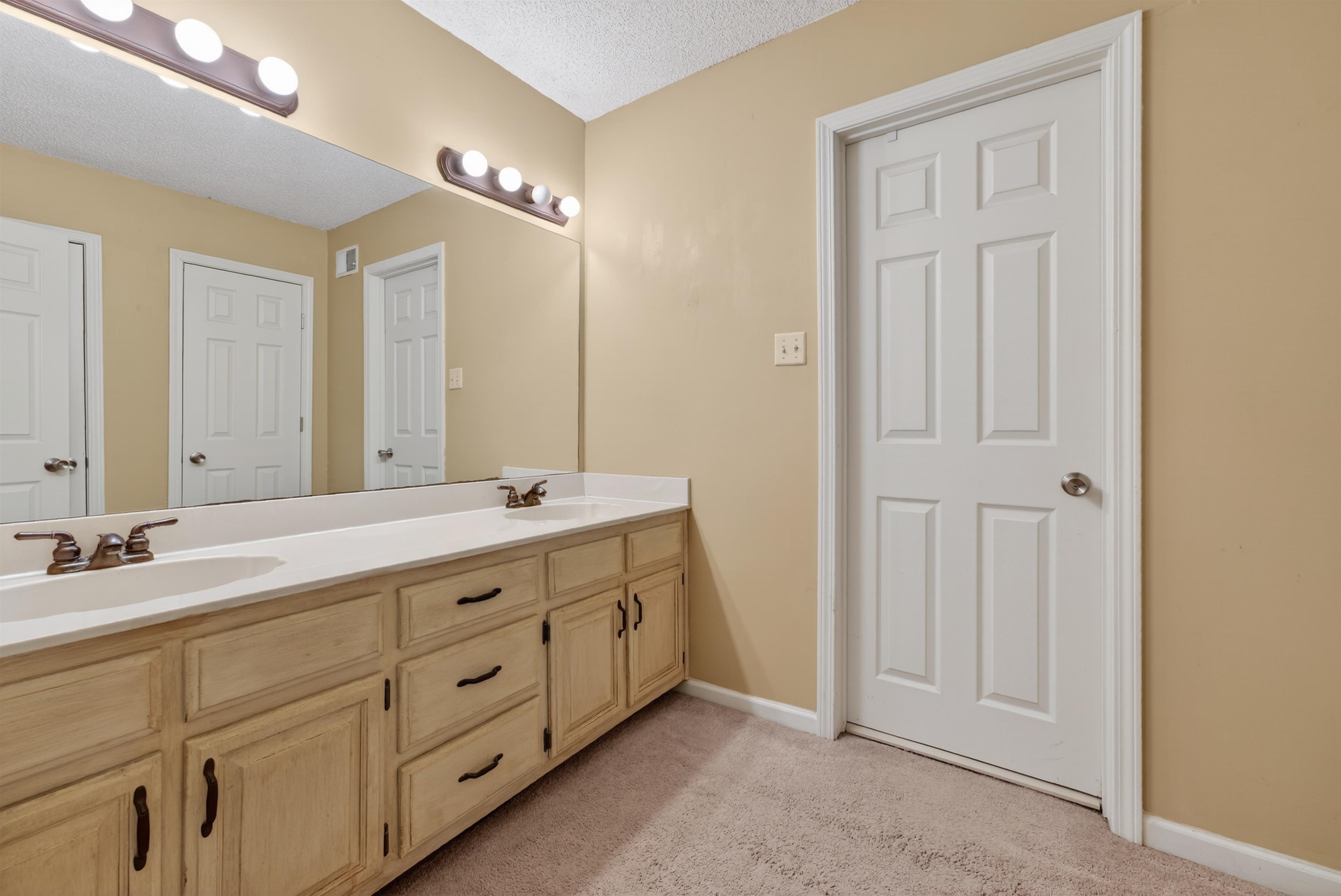 1195 Frank Road Collierville, TN 38017 - Photo 32 of 35 Bathroom with double vanity, a textured ceiling, and light colored carpet