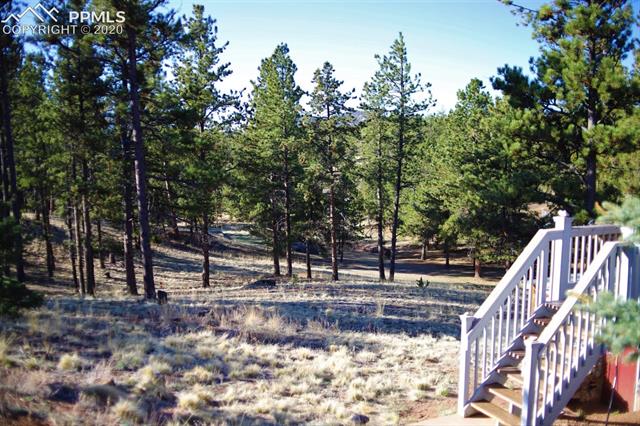 357 Thunder Ridge Road Florissant, CO 80816 - Photo 2 of 15