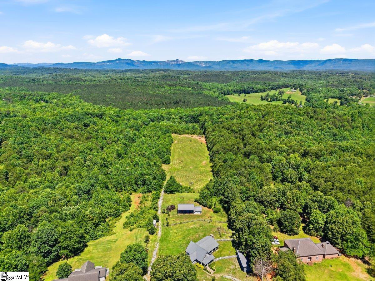 619 Little Pond Road Easley, SC 29640 - Photo 42 of 47