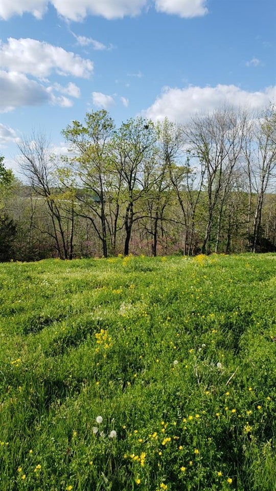 0 Yellow Hammer Road Columbia, KY 42728 - Photo 1 of 1 Gallery Image 1