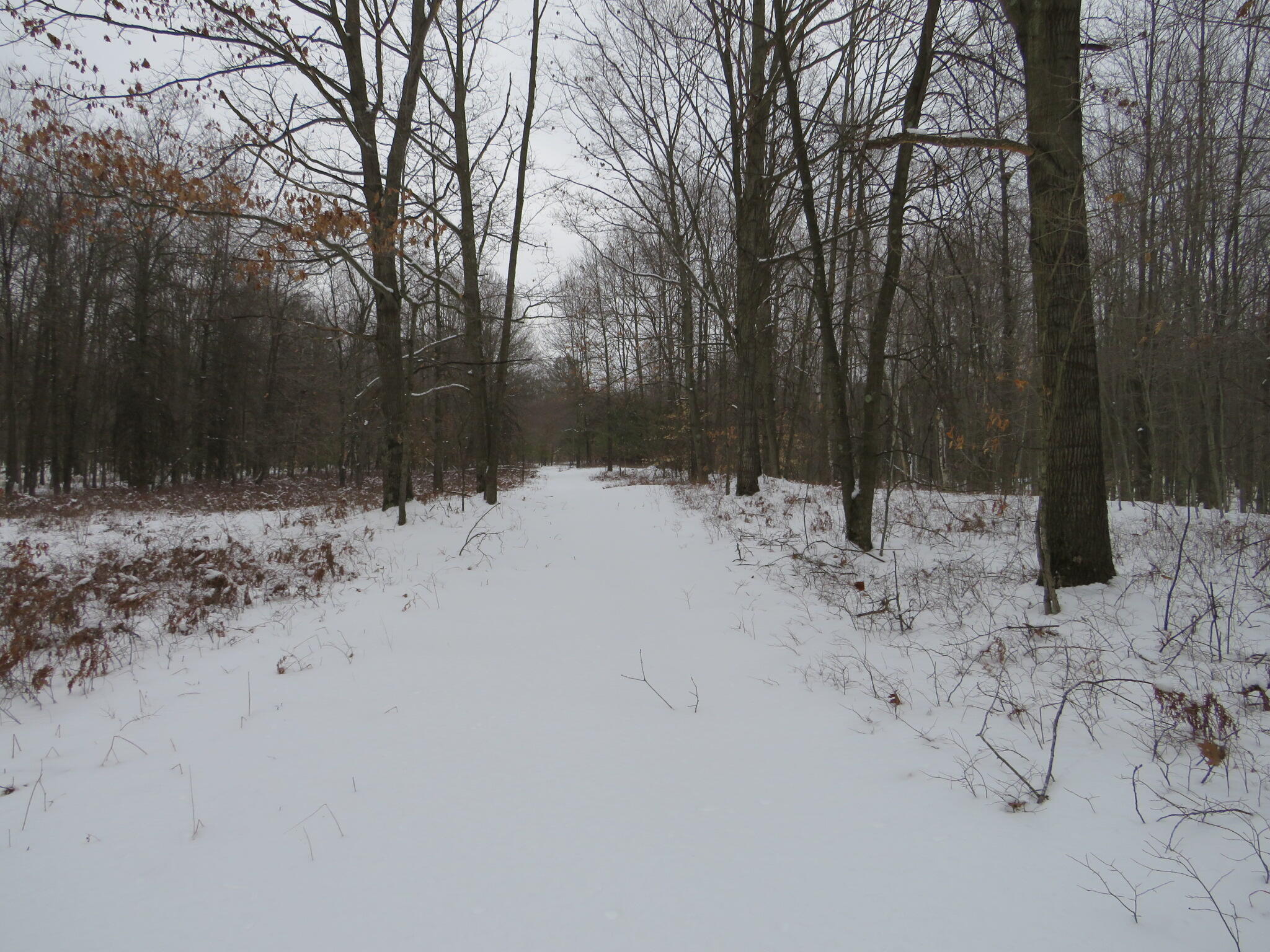 East Hayes Road Ashley, MI 48806 - Photo 19 of 33 IMG_3418