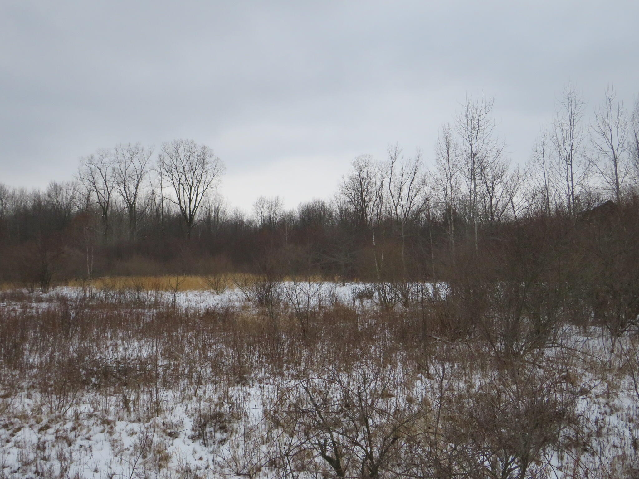 East Hayes Road Ashley, MI 48806 - Photo 28 of 33 IMG_3445