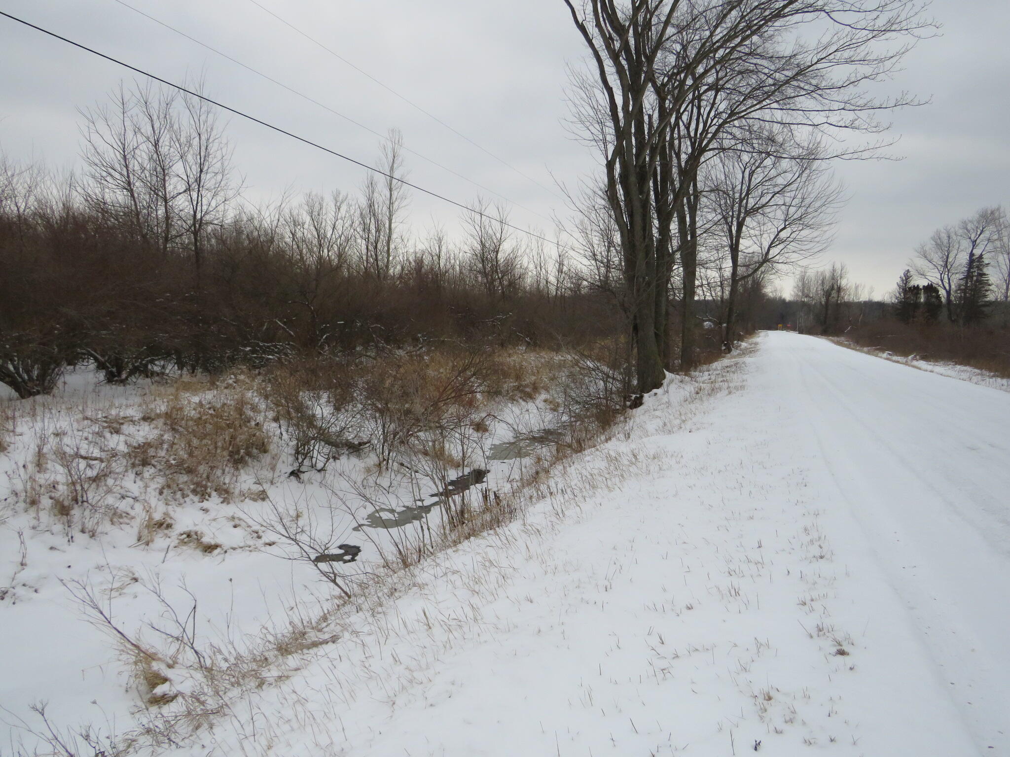 East Hayes Road Ashley, MI 48806 - Photo 29 of 33 IMG_3449