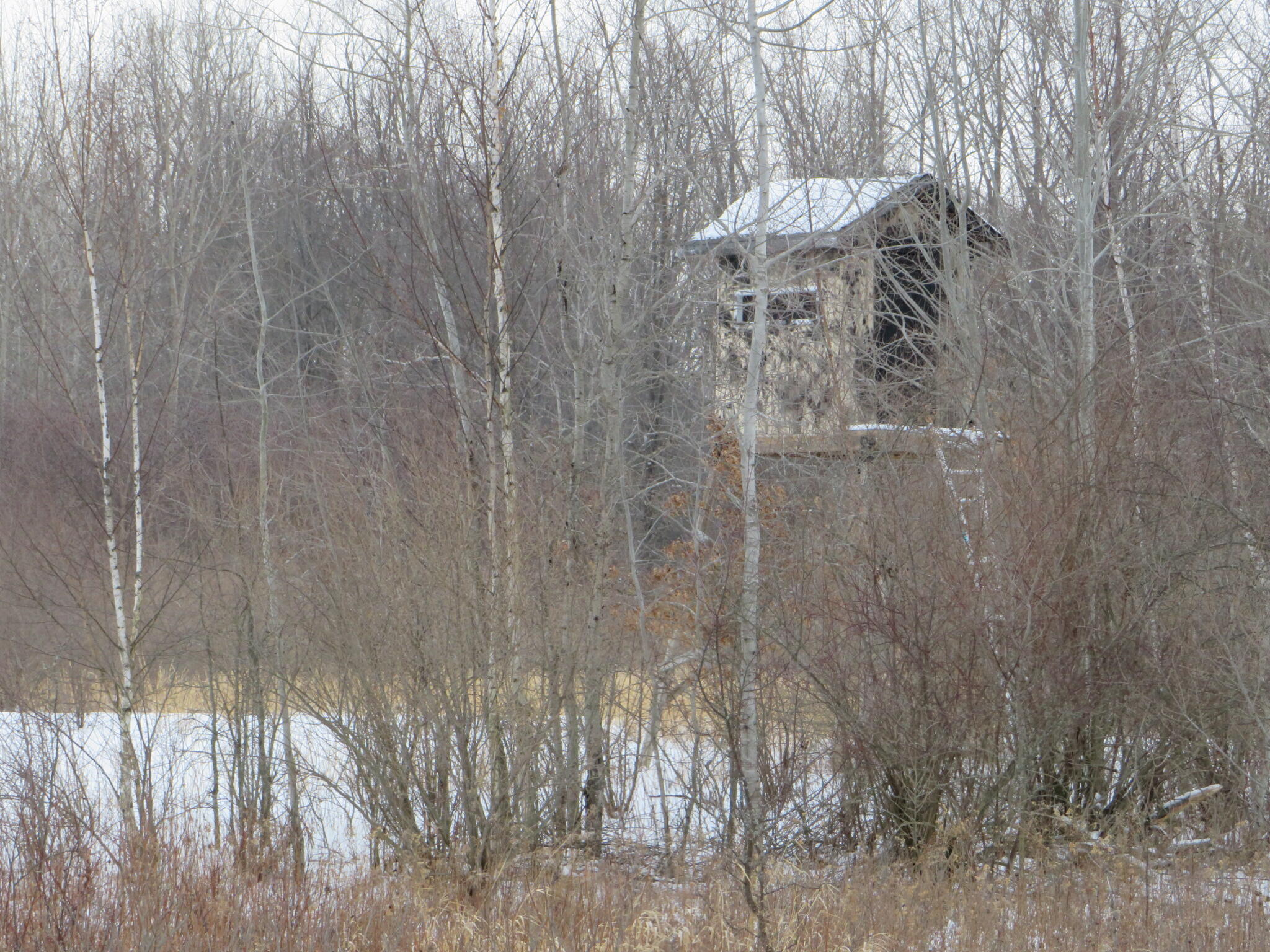 East Hayes Road Ashley, MI 48806 - Photo 31 of 33 IMG_3451