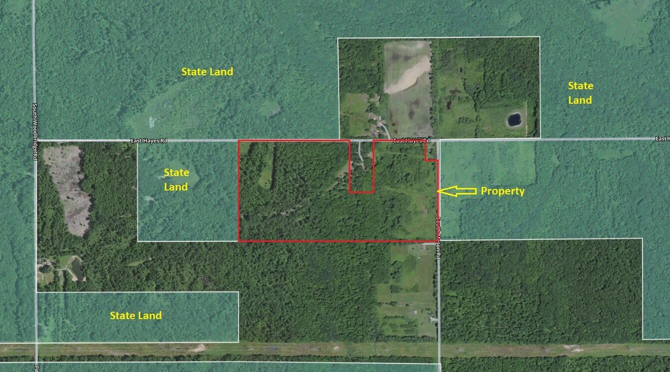 East Hayes Road Ashley, MI 48806 - Photo 32 of 33 Aerial-3