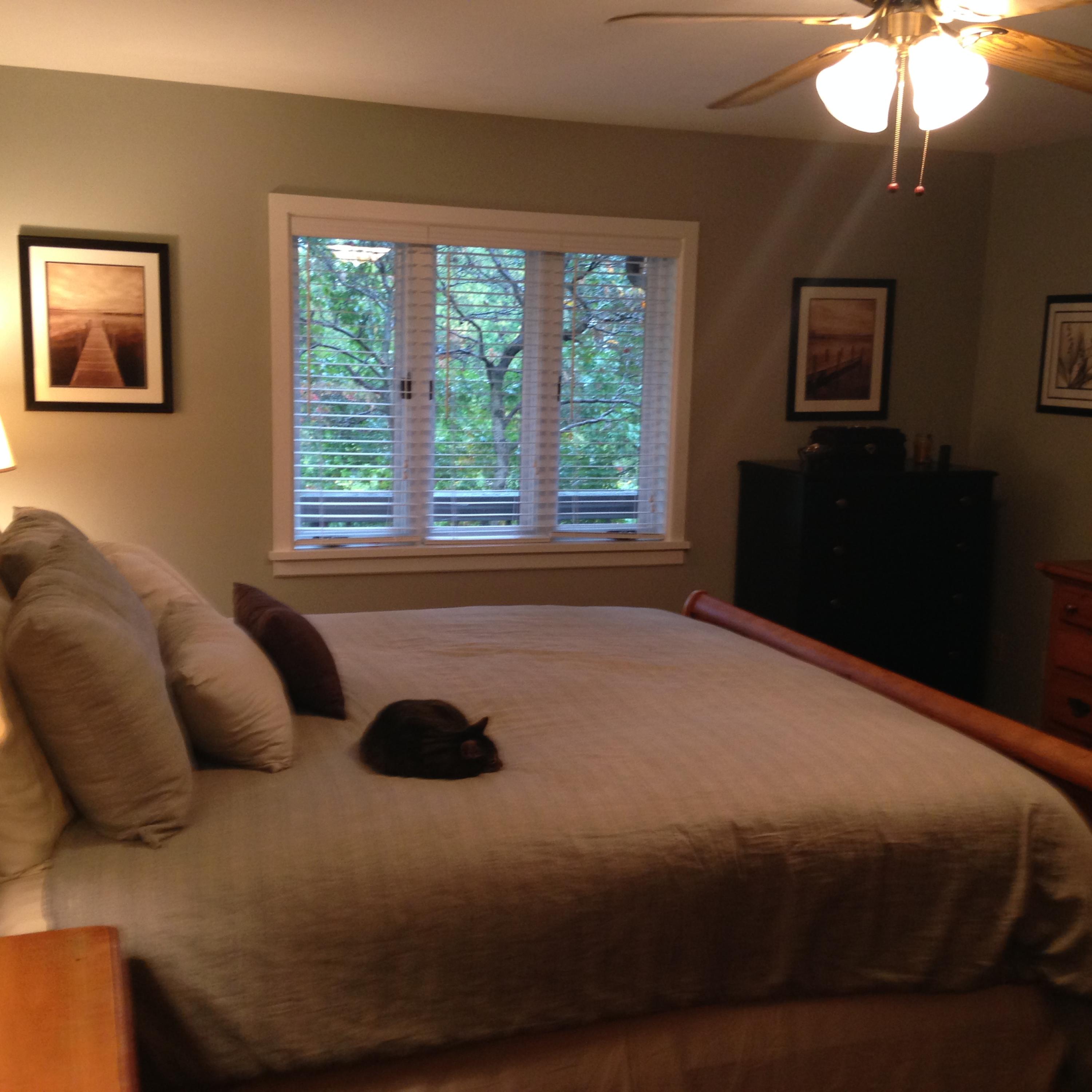 2205 Ridge Road Roanoke, VA 24014 - Photo 46 of 62 a bedroom with a bed and a chandelier