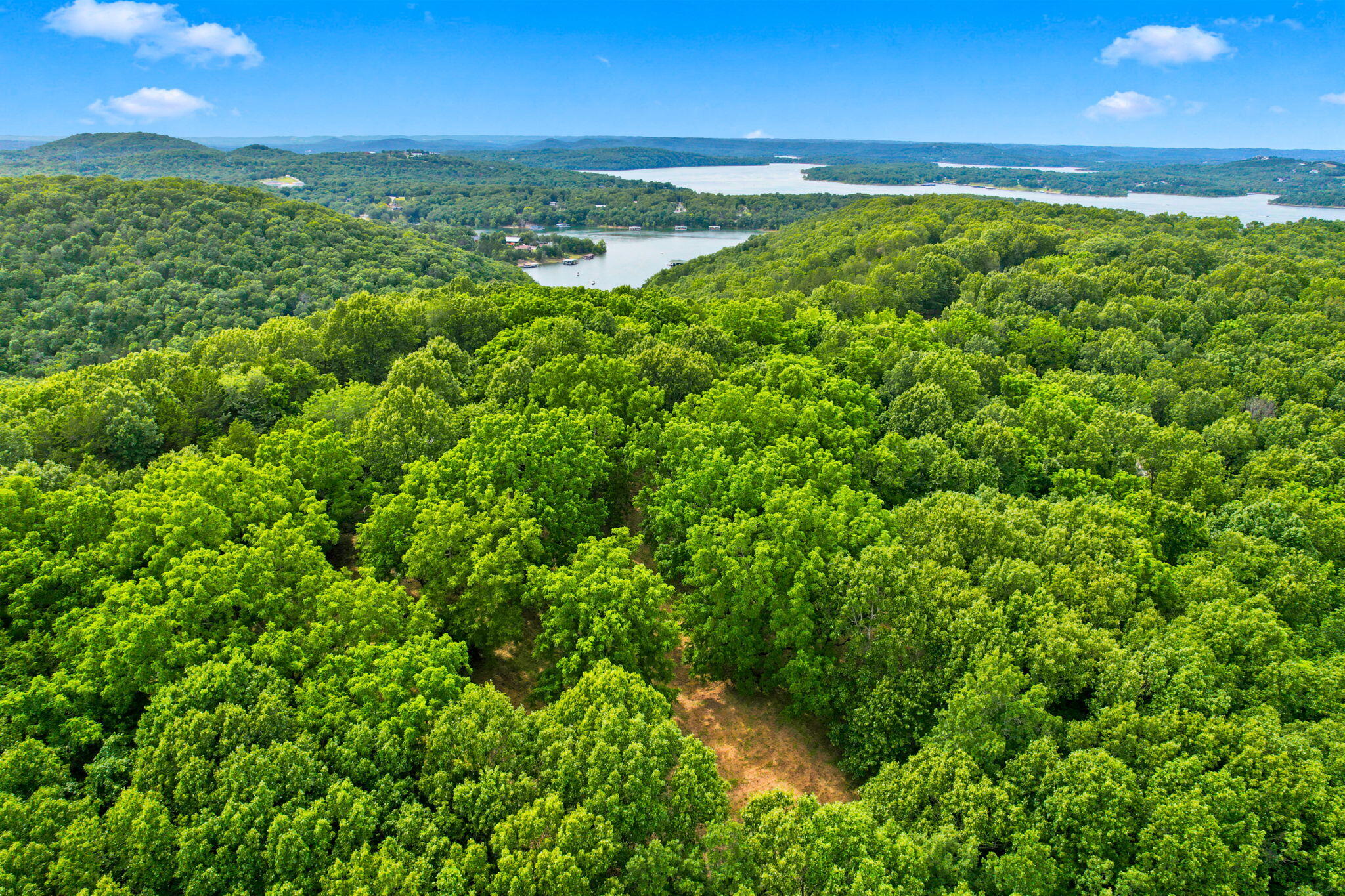 Lot 12 Kingsgate Road Lampe, MO 65681 - Photo 13 of 33 11-web-or-mls-DJI_0953