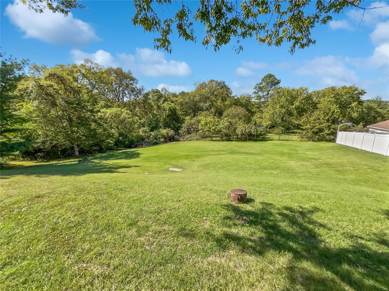 5617 Heintz Road St. Louis, MO 63129 - Photo 9 of 19 Gallery Image 9
