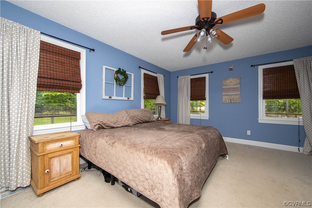 2171 Hunters Mill Road Powhatan, VA 23139 - Photo 19 of 39 Gallery Image 19