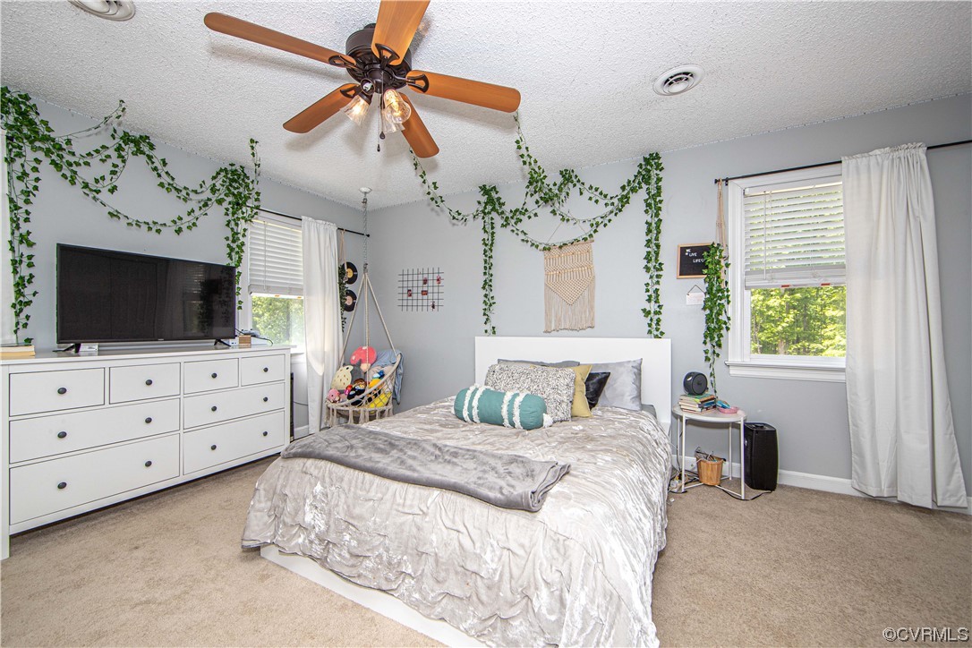 2171 Hunters Mill Road Powhatan, VA 23139 - Photo 26 of 39 Bedroom #3