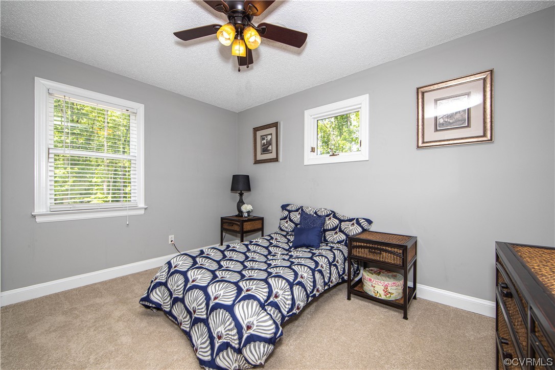 2171 Hunters Mill Road Powhatan, VA 23139 - Photo 27 of 39 Bedroom #4