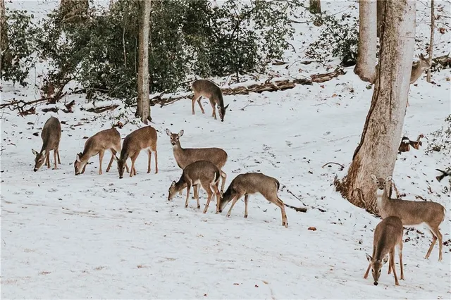 a view of a lake with houses in the back