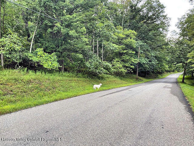 376-approx Whippoorwill Road Hillsdale, NY 12529 - Photo 19 of 20 Frontage 2