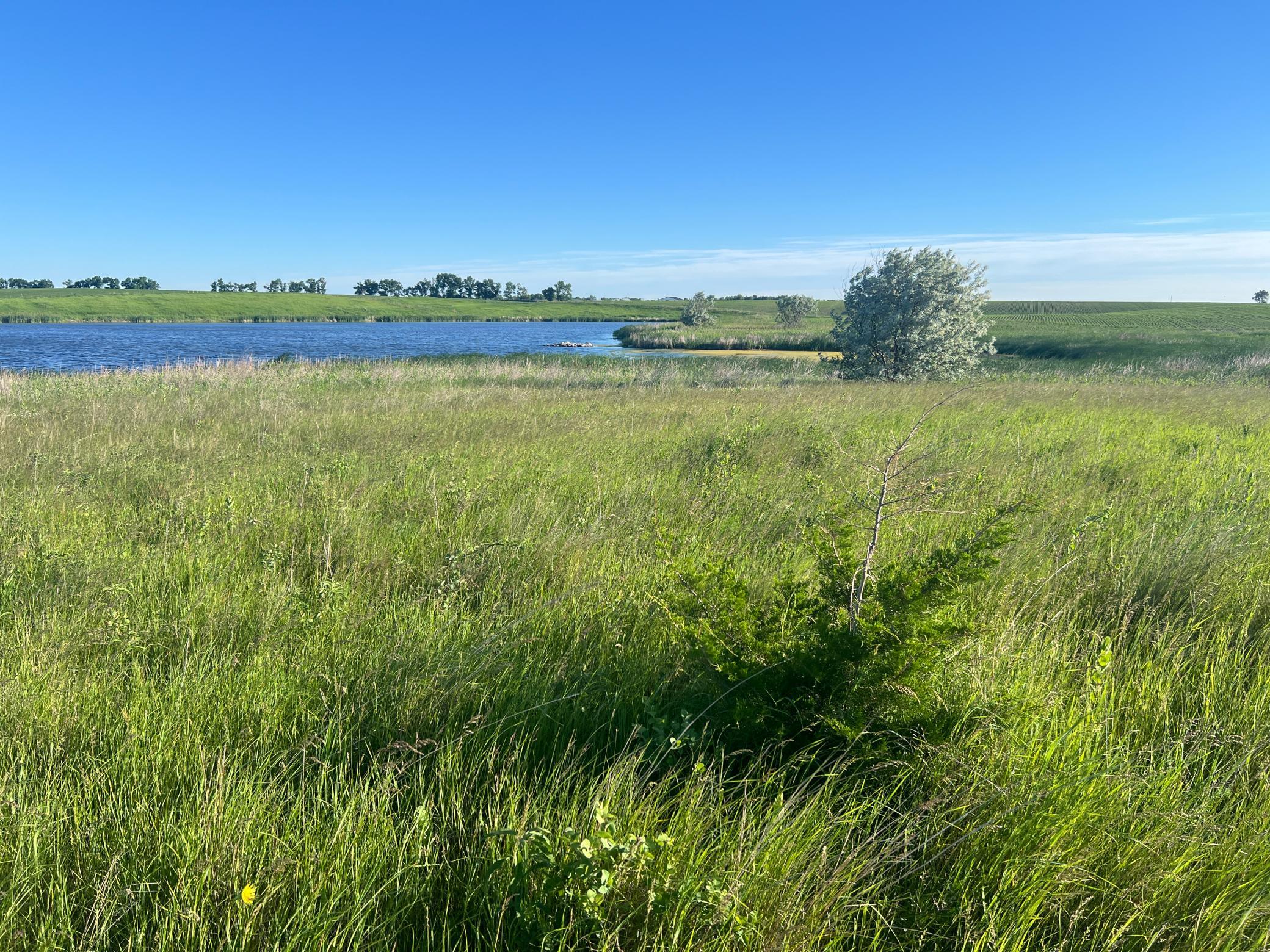 Tbd Southeast Tbd Se 90th Street Rutland, ND 58067 - Photo 29 of 105