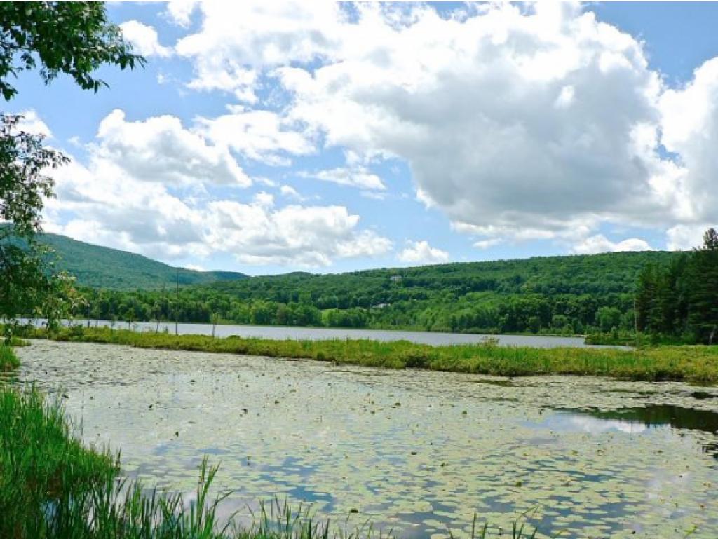 285 Fisk Road Danby, VT 05739 - Photo 8 of 13 Gallery Image 8