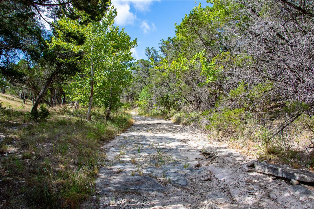 0 Monarch Ranch Road Johnson City, TX 78636 - Photo 20 of 40 a view of a yard with plants and trees