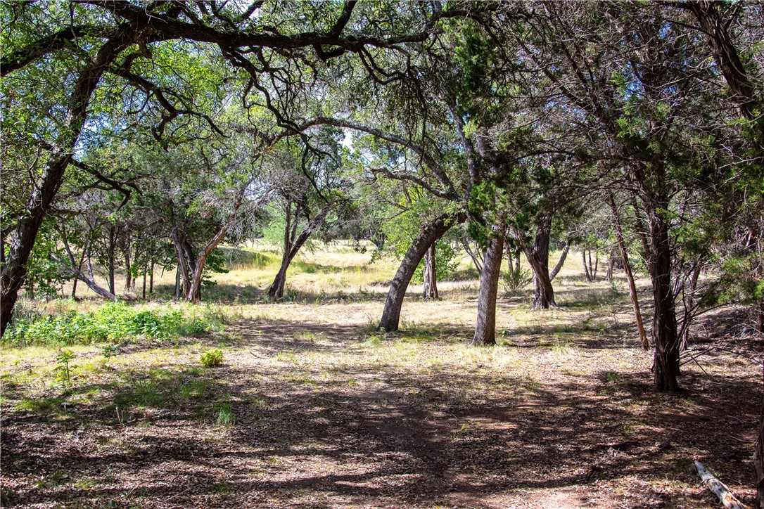 0 Monarch Ranch Road Johnson City, TX 78636 - Photo 22 of 40 a view of yard with trees