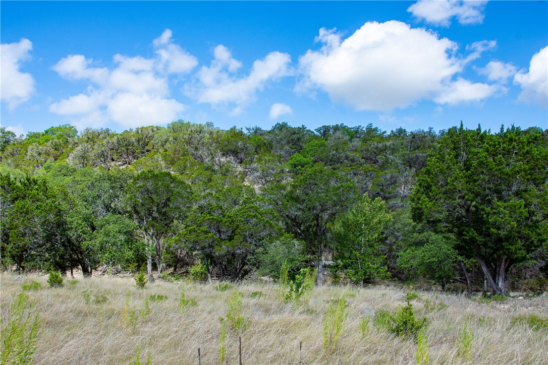 0 Monarch Ranch Road Johnson City, TX 78636 - Photo 26 of 40 a view of a bunch of trees