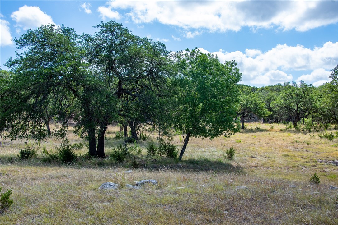 0 Monarch Ranch Road Johnson City, TX 78636 - Photo 27 of 40 a view of dirt yard with a tree
