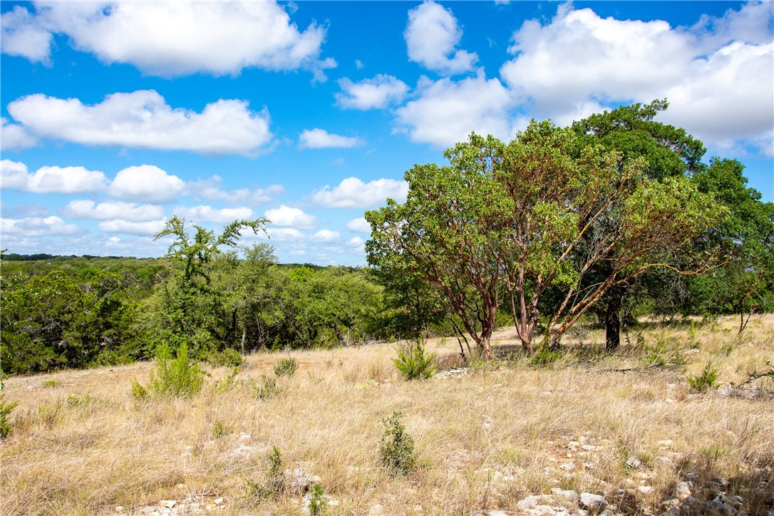 0 Monarch Ranch Road Johnson City, TX 78636 - Photo 34 of 40