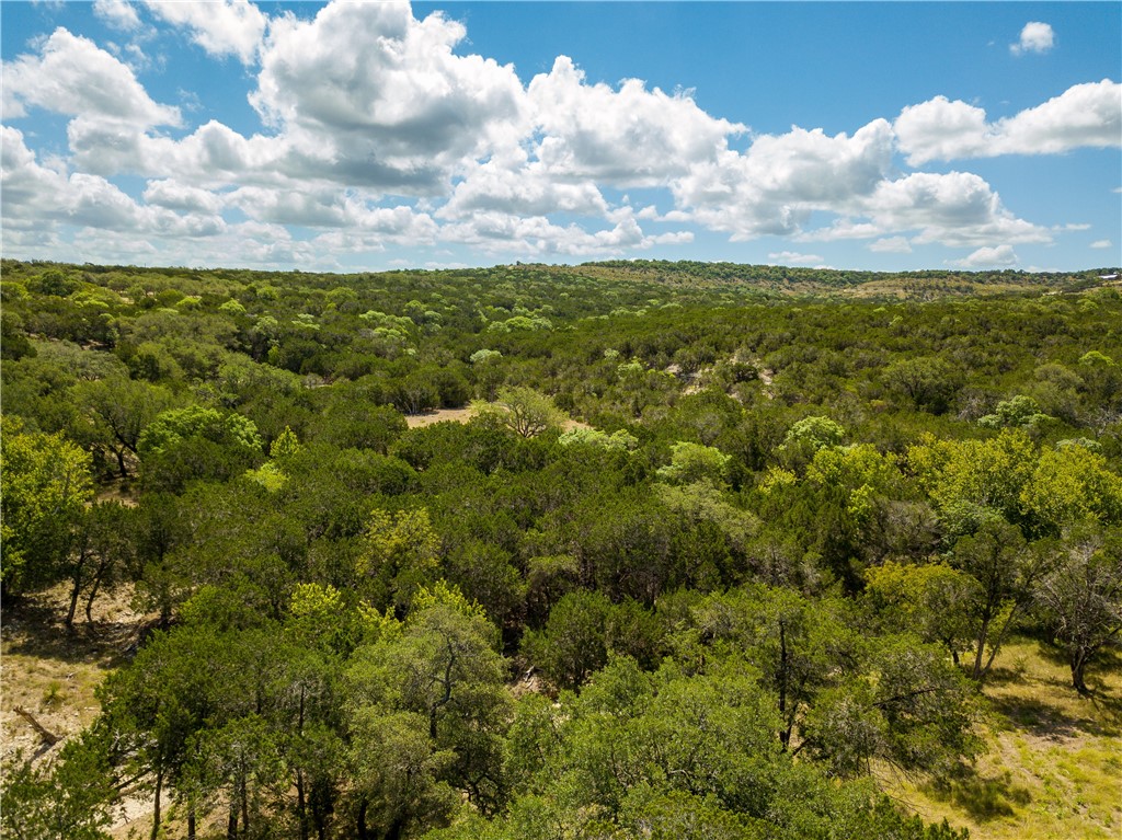 0 Monarch Ranch Road Johnson City, TX 78636 - Photo 9 of 40 a view of a green field